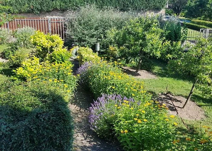 公寓 Panorama 蒂豪尼